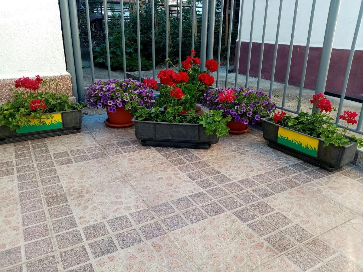 Apartment Elmari Prilep Kültér fotó